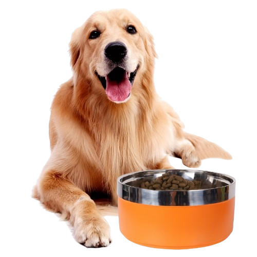 Dog Bowls