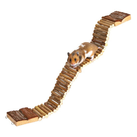 Hamster